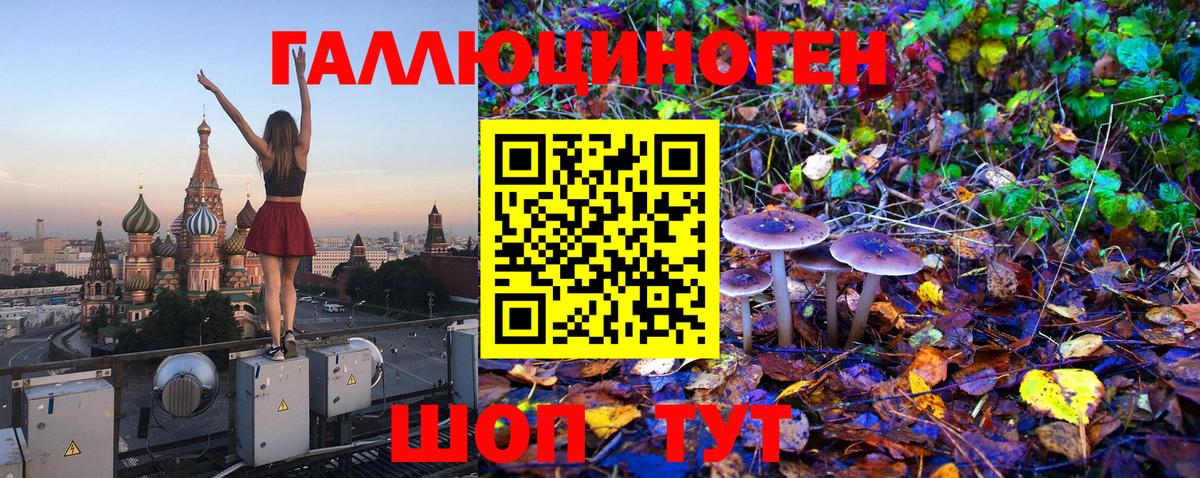 Галлюциногенные грибы Magic Shrooms Ногинск