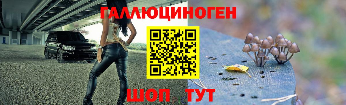 Псилоцибиновые грибы Psilocybe  Вход с VPN  закладка  Ногинск  Галлюциногенные грибы Cubensis 